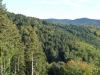 Schwarzwald