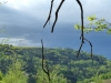 Schwarzwaldnebel