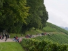 Weinwandertag